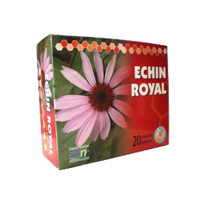 Cfn Echin Royal 20 X 10 ML