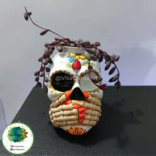 Calavera Mexicana  #1