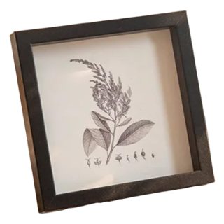 Portarretrato Foto Marco Cuadro Madera Minimalista Chico