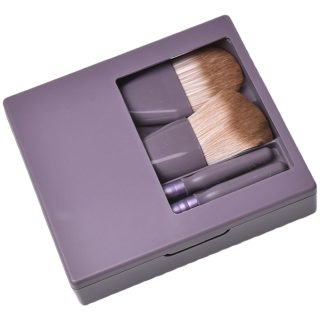 Set De 5 Mini Brochas Para Maquillaje Con Estuche + Espejo