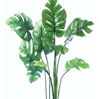 Vinilo Decorativo De Pared Hojas