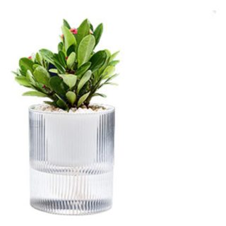 Maceta Para Hidroponia 10cm Plantas Jardín Decoración