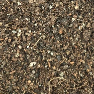 Sustrato especial para cactus y suculentas x kg