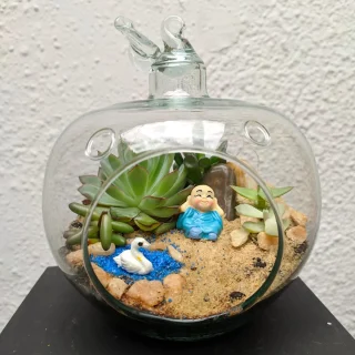 Terrario Suculentas en Manzana