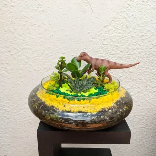 Terrario Cristal Dinosaurio