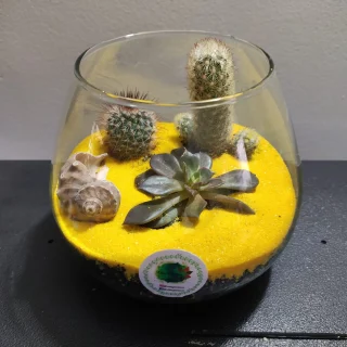 Terrario Acuario Pera