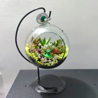 Terrario Suculentas en Burbuja de Cristal Mediano