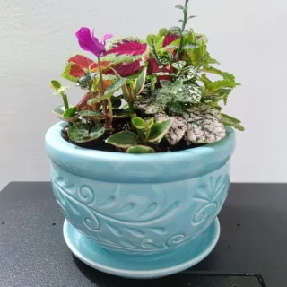 Terrario Ornamental en cerámica