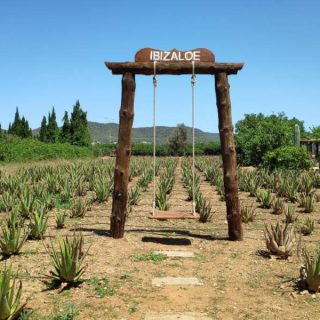 My Morning – Yoga – DETOX – Cosmética Natural