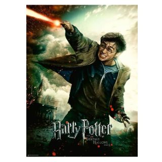 Cuadro Harry Potter Y Las Reliquias De La Muerte Parte 2