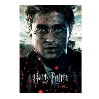 Cuadro Película Harry Potter Y Las Reliquias De La Muerte Parte 2