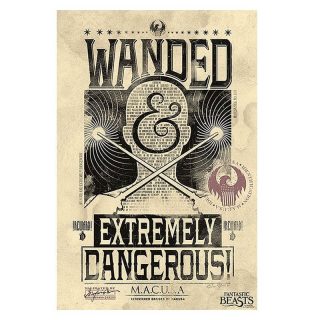 Póster Animales Fantásticos