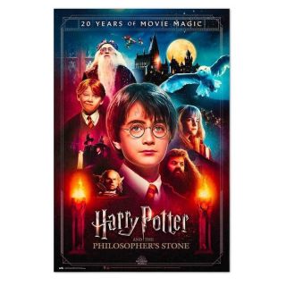 Póster Harry Potter 20 Años