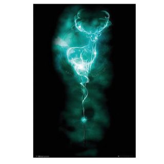 Póster Patronus Harry Potter