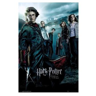 Póster Película Harry Potter Y El Cáliz De Fuego