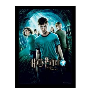 Póster Película Harry Potter Y La Orden Del Fénix