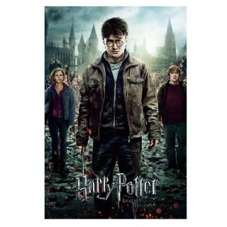 Póster Película Harry Potter Y Las Reliquias De La Muerte Parte 2