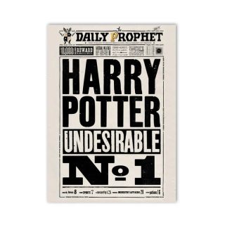 Póster Periódico Harry Potter