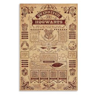 Póster Reglas Quidditch