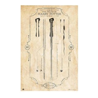 Póster Varitas Mágicas